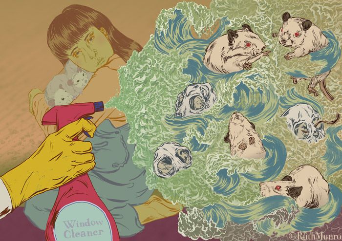 Hayvan deneylerini durdurmak için işkenceyi görüntüle! | Kaos GL - LGBTİ+ Haber Portalı Haber